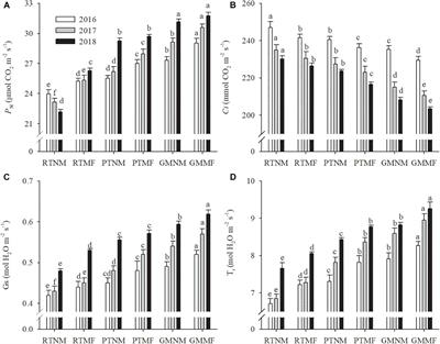 Effects of Soil Tillage, Management Practices, and Mulching Film Application on Soil Health and Peanut Yield in a Continuous Cropping System